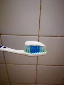 福建佳期對粉臻白亮齒牙膏使用效果的評價 臻白亮齒，笑容自信的秘密武器